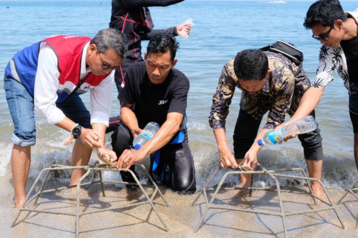 Pertamina mendukung program transplantasi terumbu karang di Lombok Utara