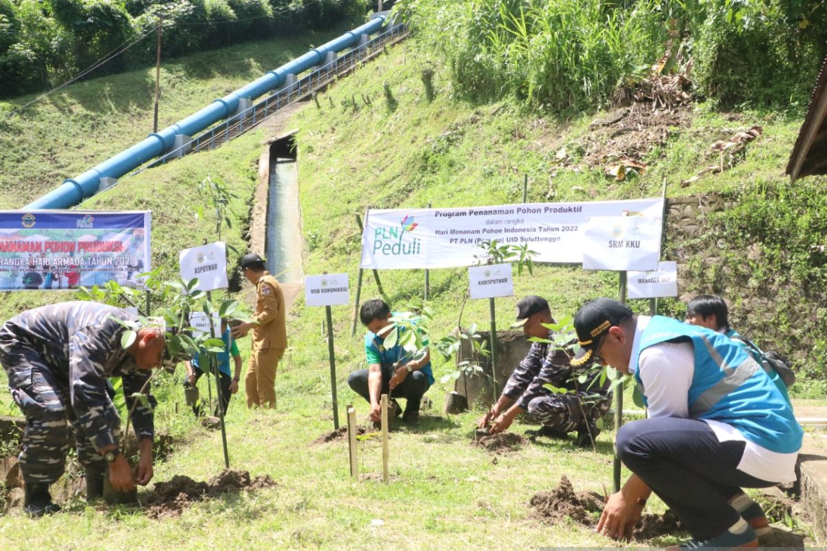 PLN menanam puluhan ribu pohon jaga kelestarian alam Suluttenggo