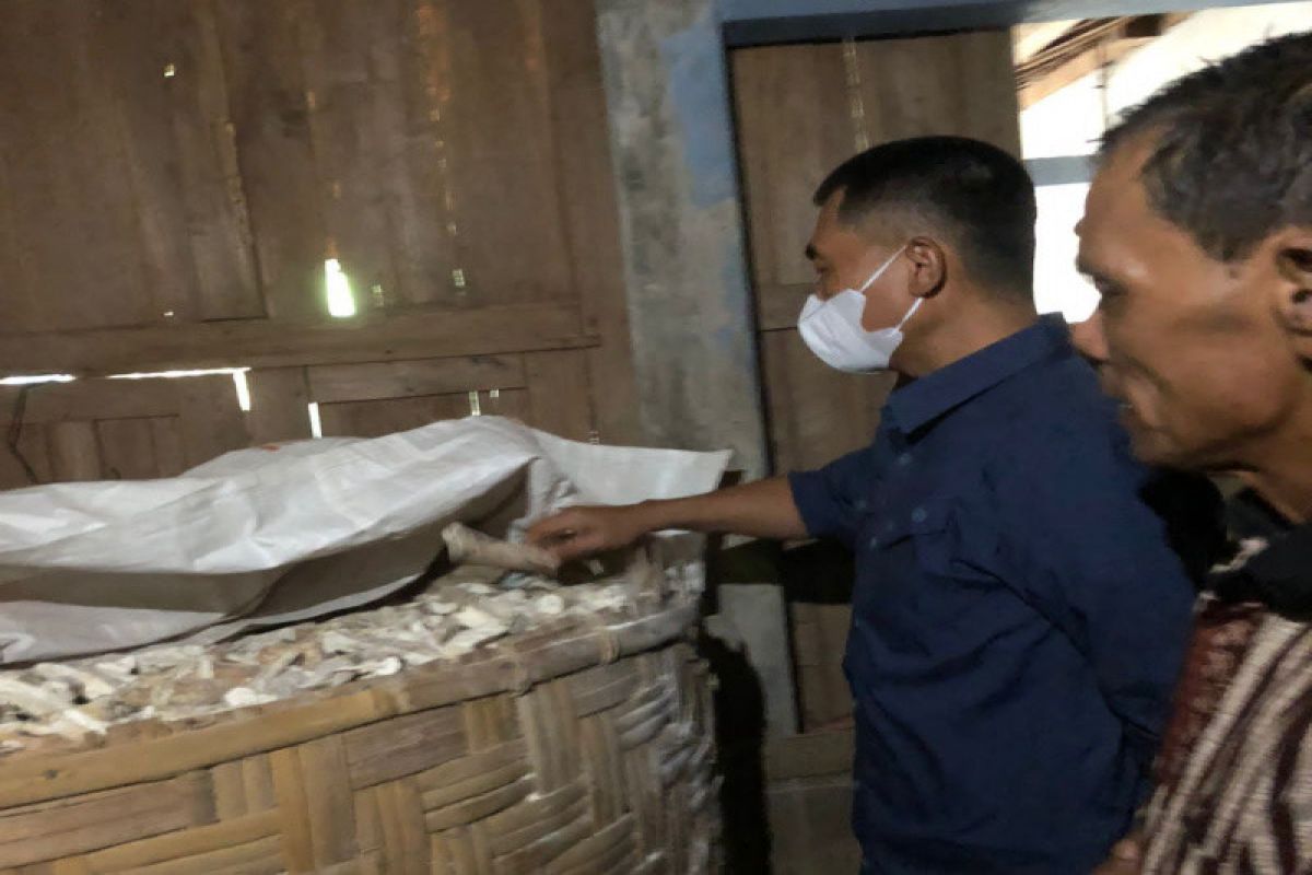 Bupati Gunungkidul tinjau beberapa lumbung pangan masyarakat pastikan stok