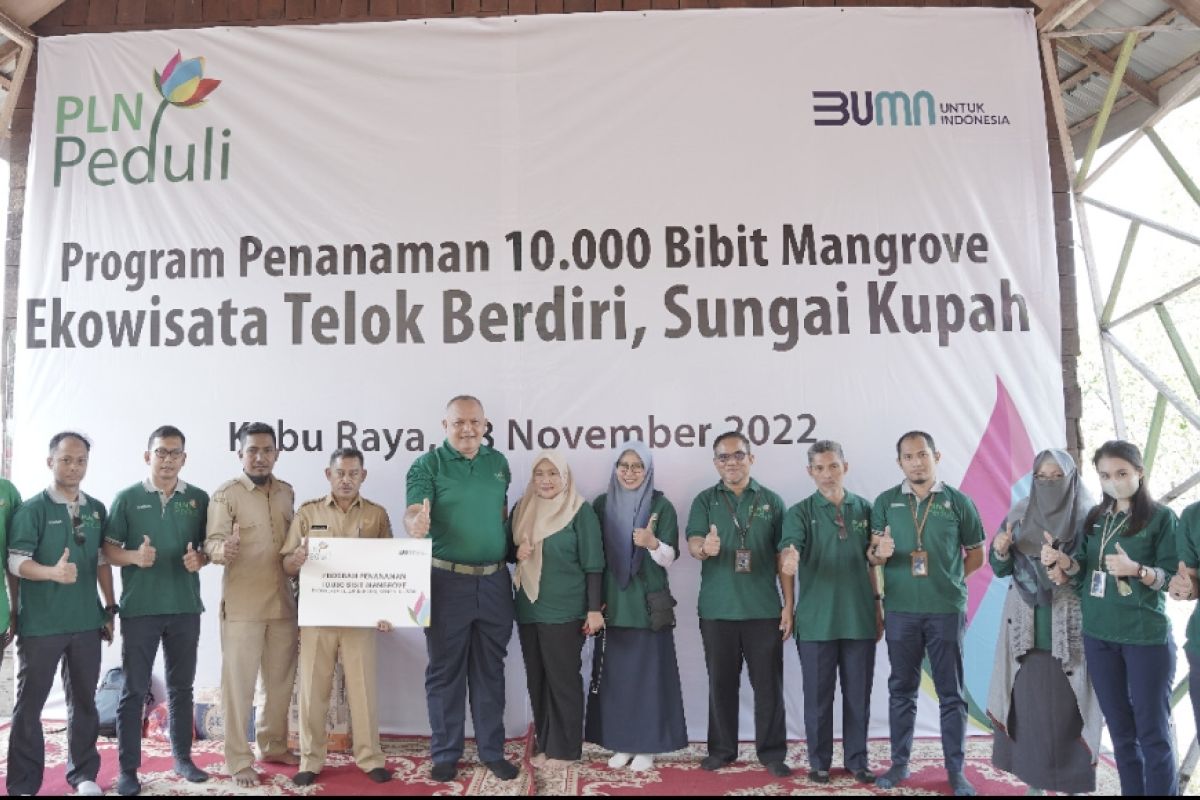 PLN UID Kalbar kembali tanam 10 ribu pohon mangrove