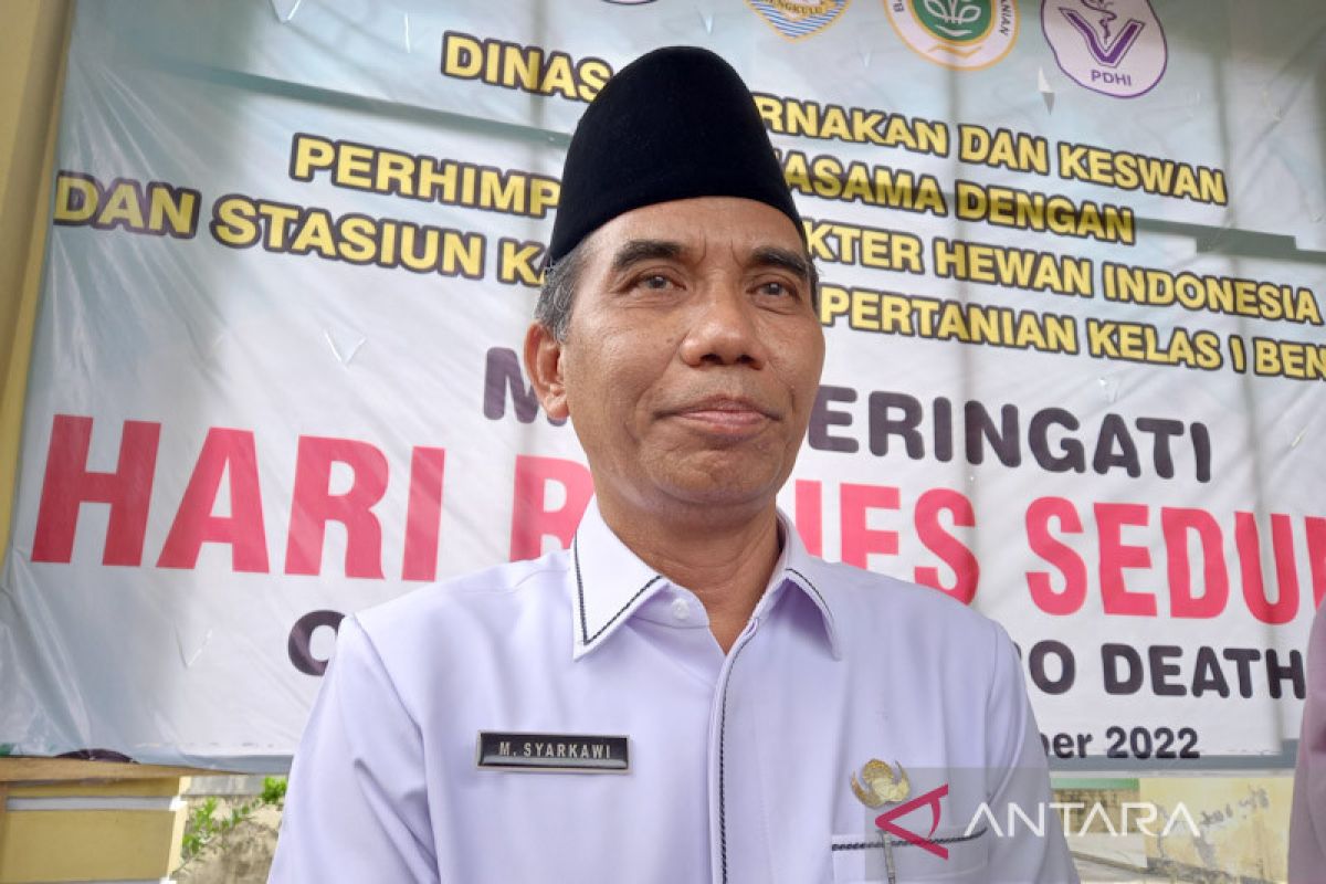 Dinas Peternakan: Lima wilayah di Bengkulu bebas kasus PMK