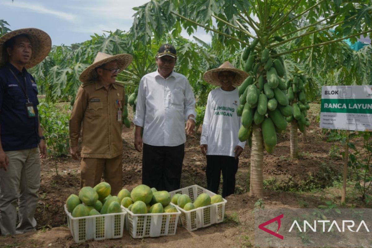 Banten dorong kolaborasi penguatan ketahanan pangan