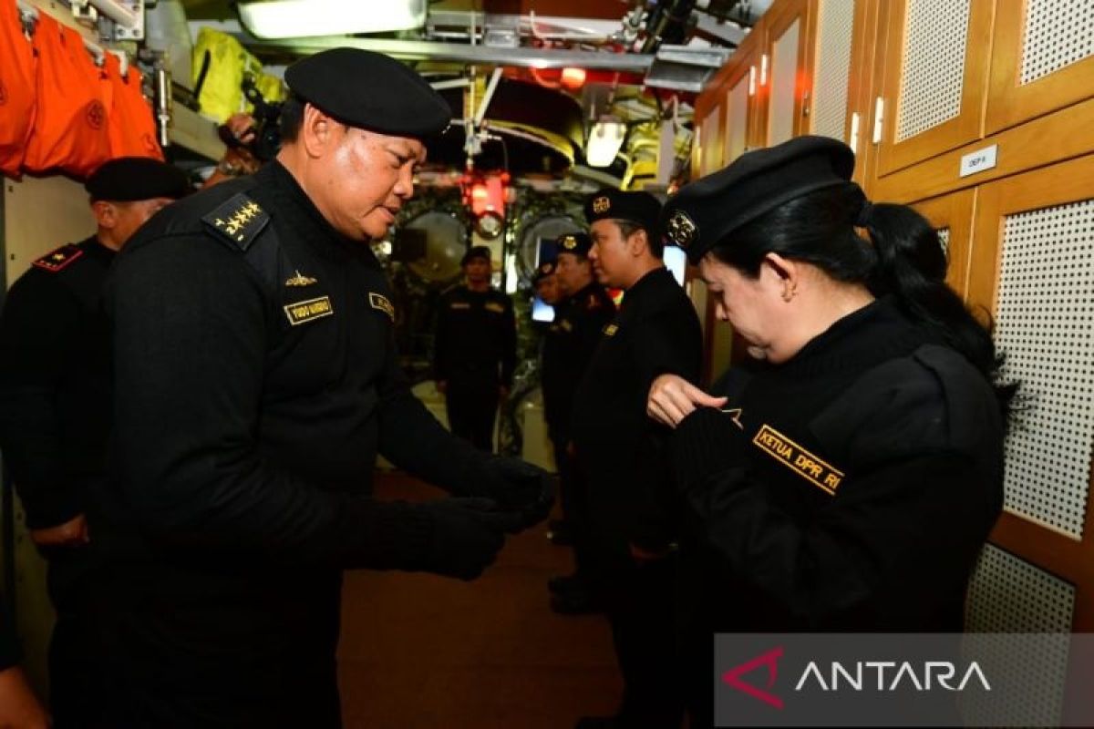 Kasal Laksamana TNI Yudo Margono sematkan Brevet Hiu Kencana ke Puan Maharani