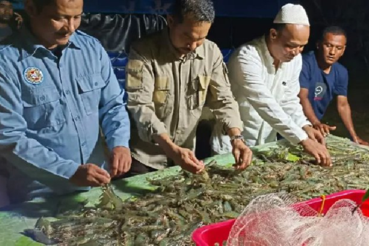 DKP Aceh: Produksi udang vaname dari tambak klaster KKP melebihi target