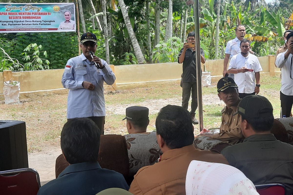 Kementan minta pembahasan intens dengan DP3 atasi sawah tadah hujan di Pariaman