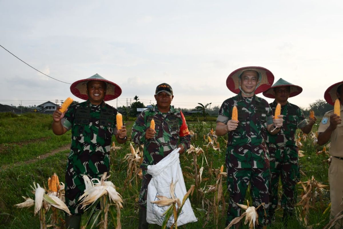 TNI bersama petani panen jagung di Kabupaten Sorong