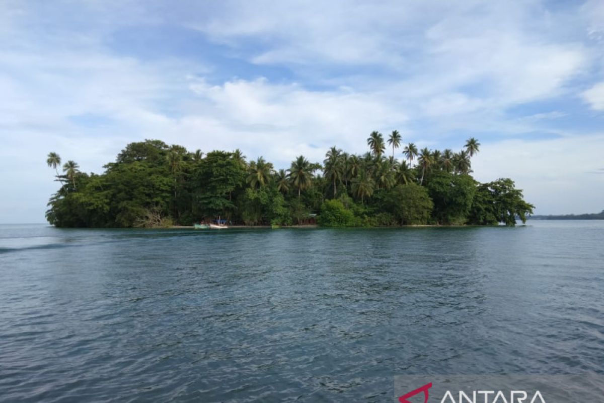 Perairan Pulau Pol Raja Ampat dilindungi sebagai pusat populasi teripang