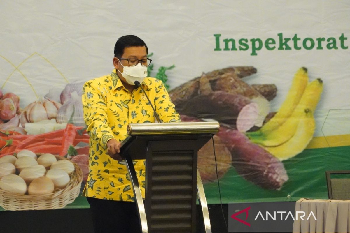 Bapanas kolaborasi dengan Ombudsman dan BPKP kawal program strategis pangan