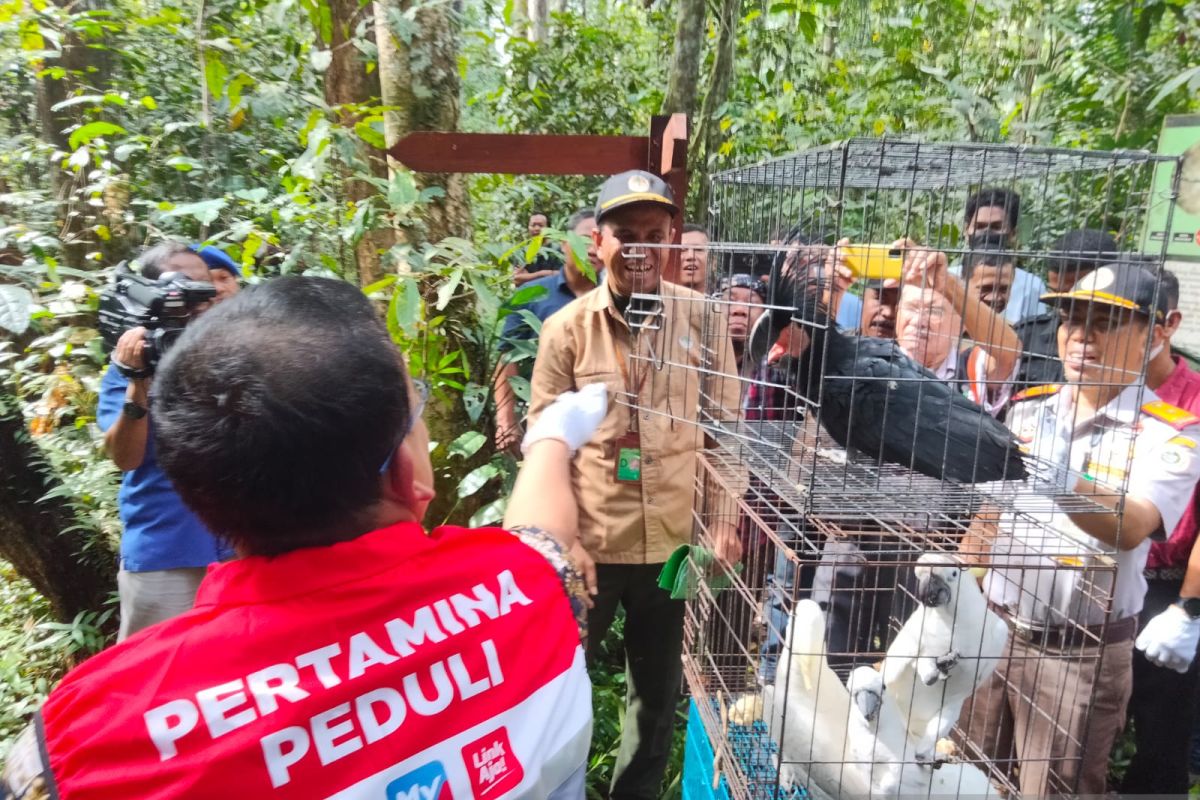 Belasan satwa endemik Papua dilepaskan di Taman Wisata Kota Sorong