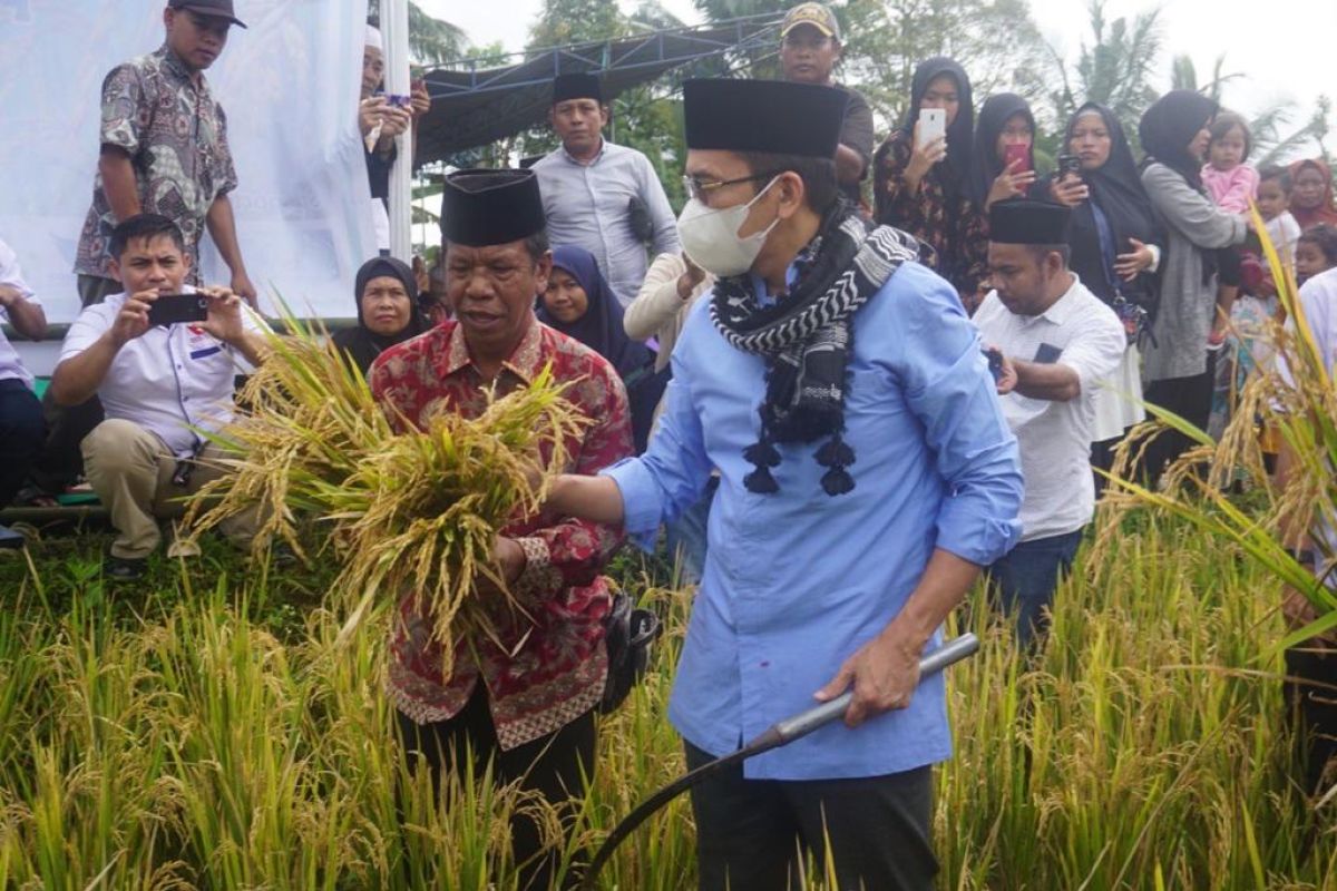 TGB Zainul Majdi bina Peta NWDI Lombok kembangkan padi organik