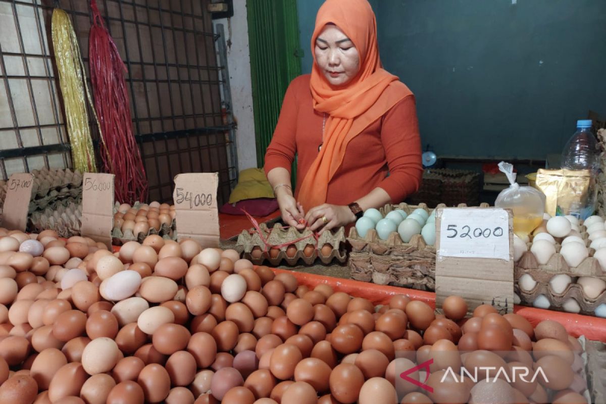 Harga daging dan telur ayam di Bengkulu alami kenaikan jelang Natal dan Tahun Baru