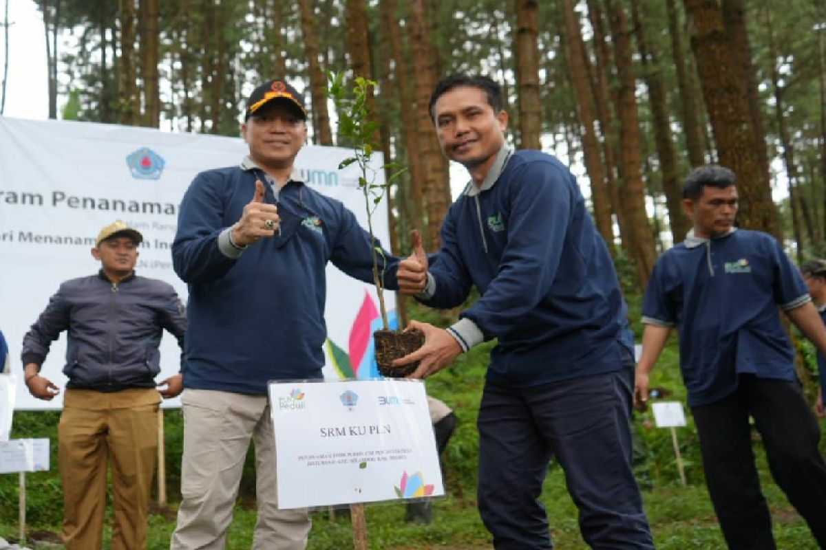 PLN tanam 19.000 pohon peringati Hari Menanam Pohon Indonesia 2022