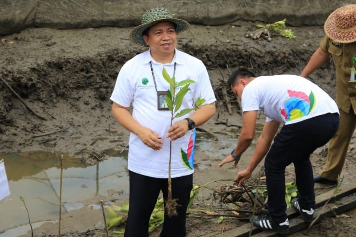 PLN UID Sumut tanam 15.000 bibit  mangrove di Nias Utara dan Langkar
