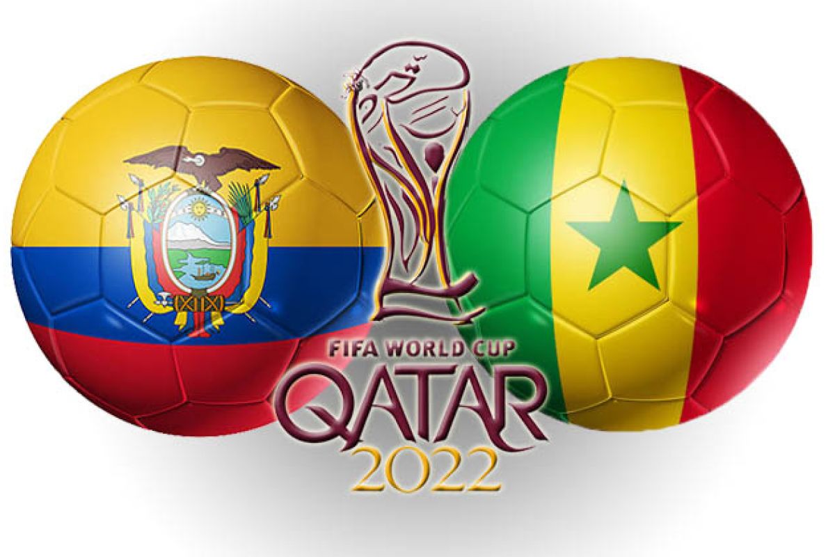 Piala Dunia Qatar - Gol Koulibaly kirim Senegal ke 16 besar dampingi Belanda