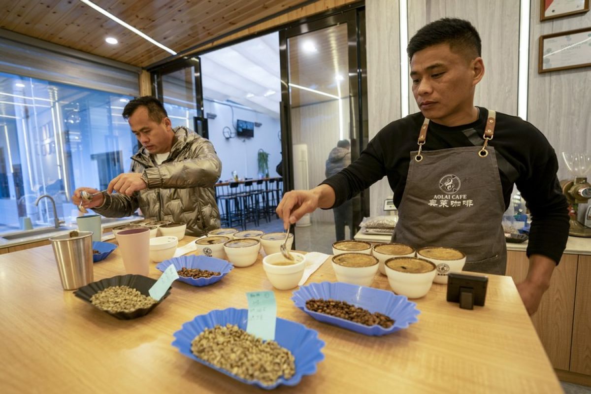 Yunnan di China tingkatkan pariwisata terkait kopi