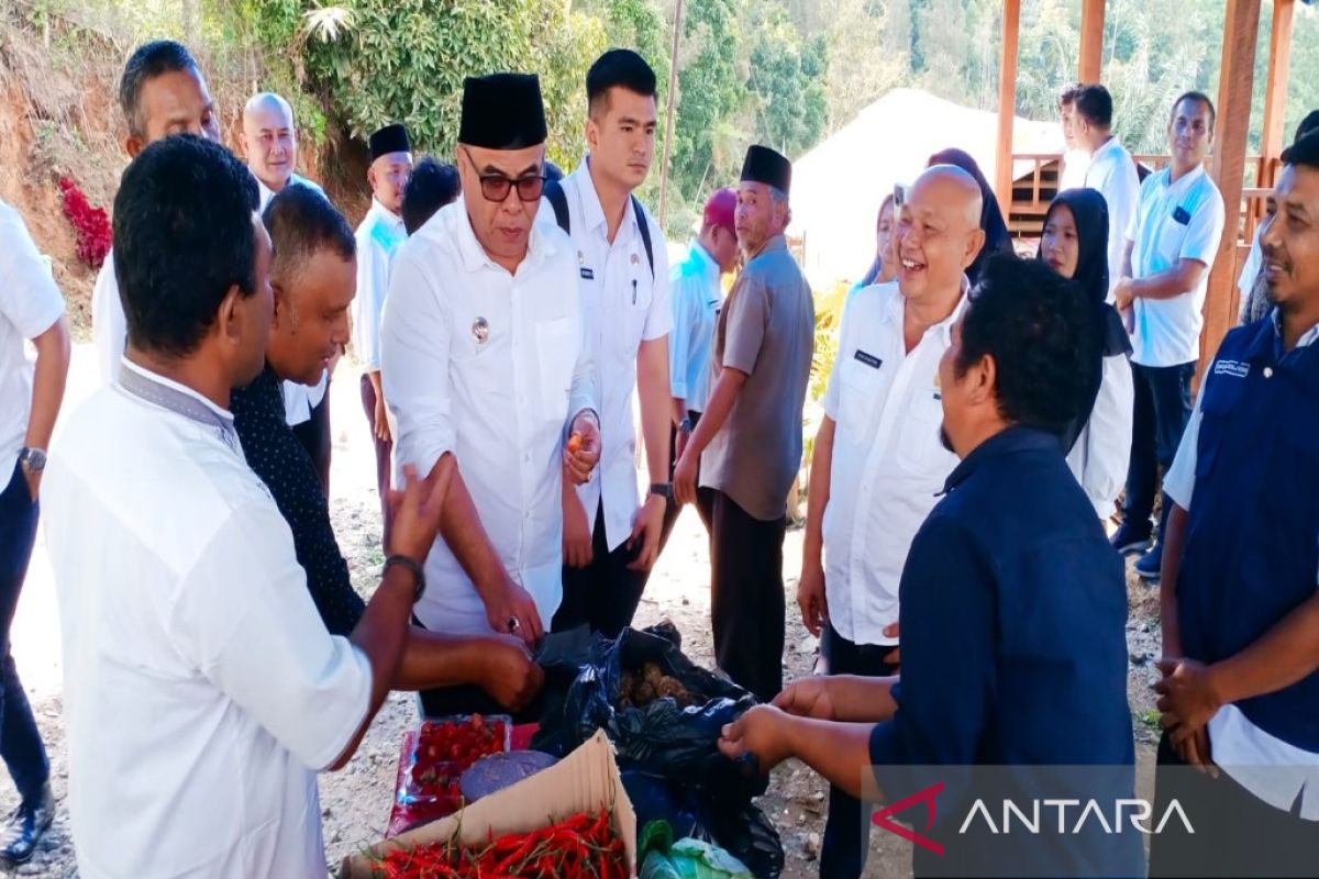 Petani di Puncak Sorik Marapi dapat bantuan jahe putih dari pemerintah