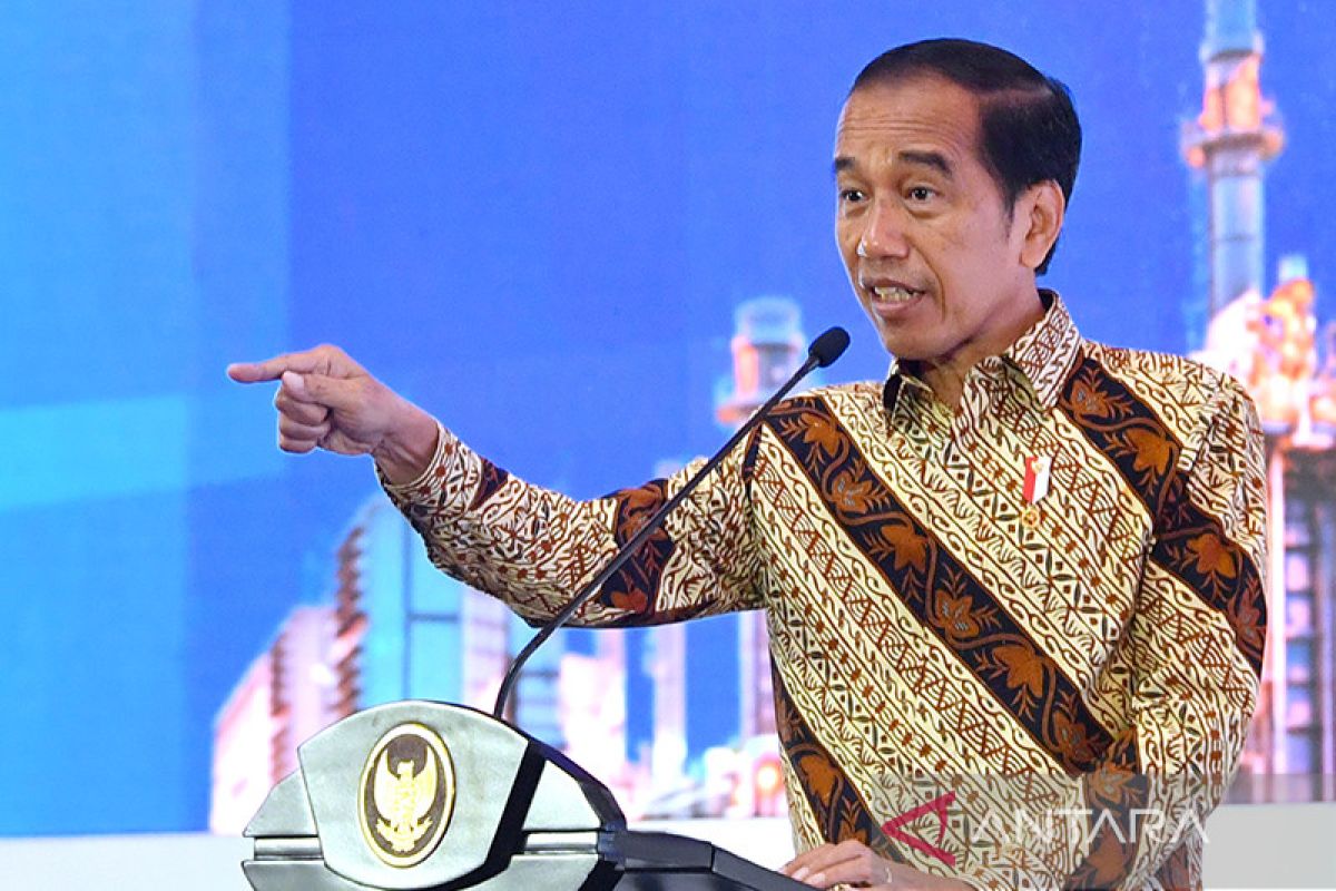 Jokowi: Indonesia banding atas kekalahan sengketa nikel di WTO