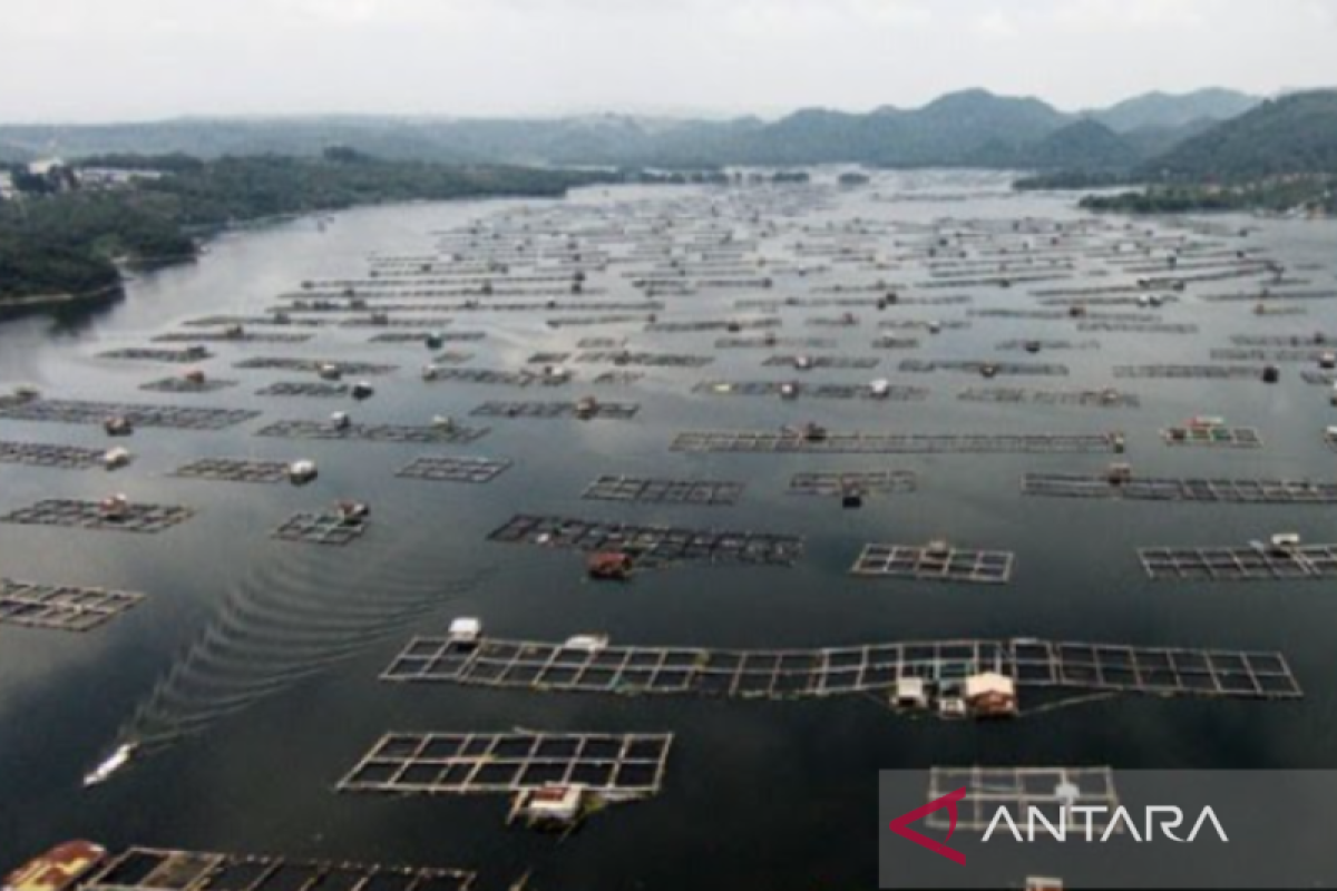 Pemkab dan Satgas Citarum Harum kembali tertibkan KJA di Waduk Jatiluhur