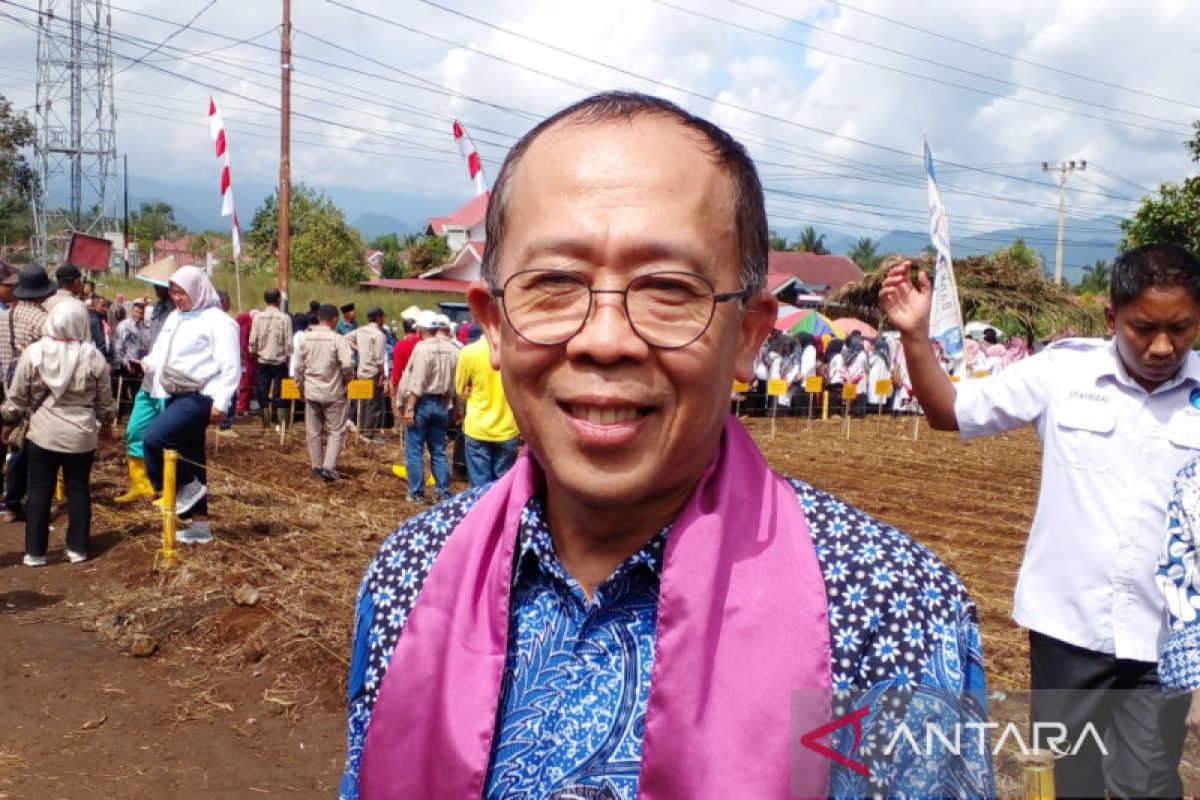 Direktur Panas Bumi: Bioetanol sorgum bisa jadi alternatif saat minyak bumi berkurang