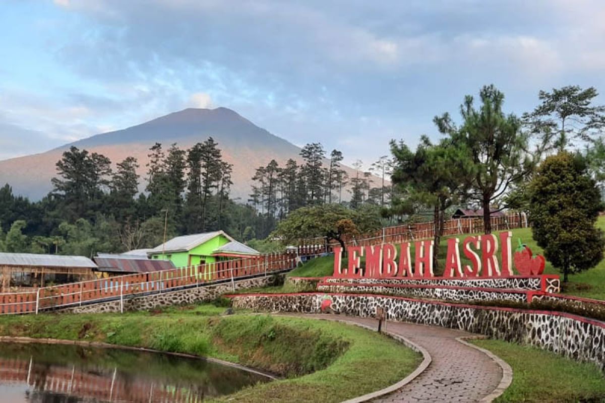 Peringati HUT Kemerdekaan, ratusan pendaki bertolak ke Gunung Slamet