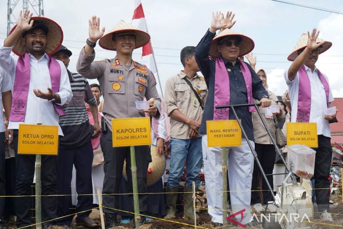 Solok Selatan menuju sentra sorgum nasional