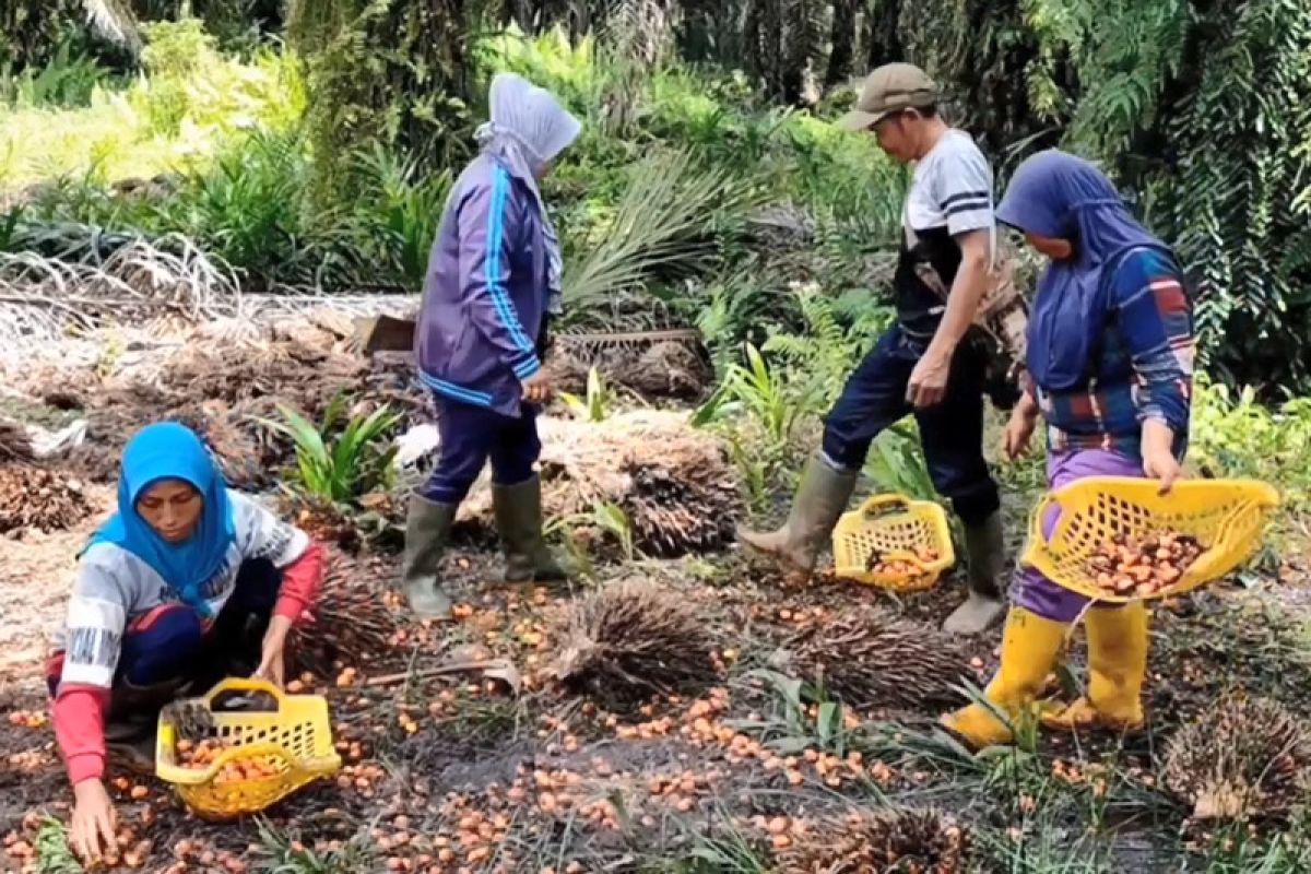 DPRD bangun  sinergitas atasi permasalahan tenaga kerja