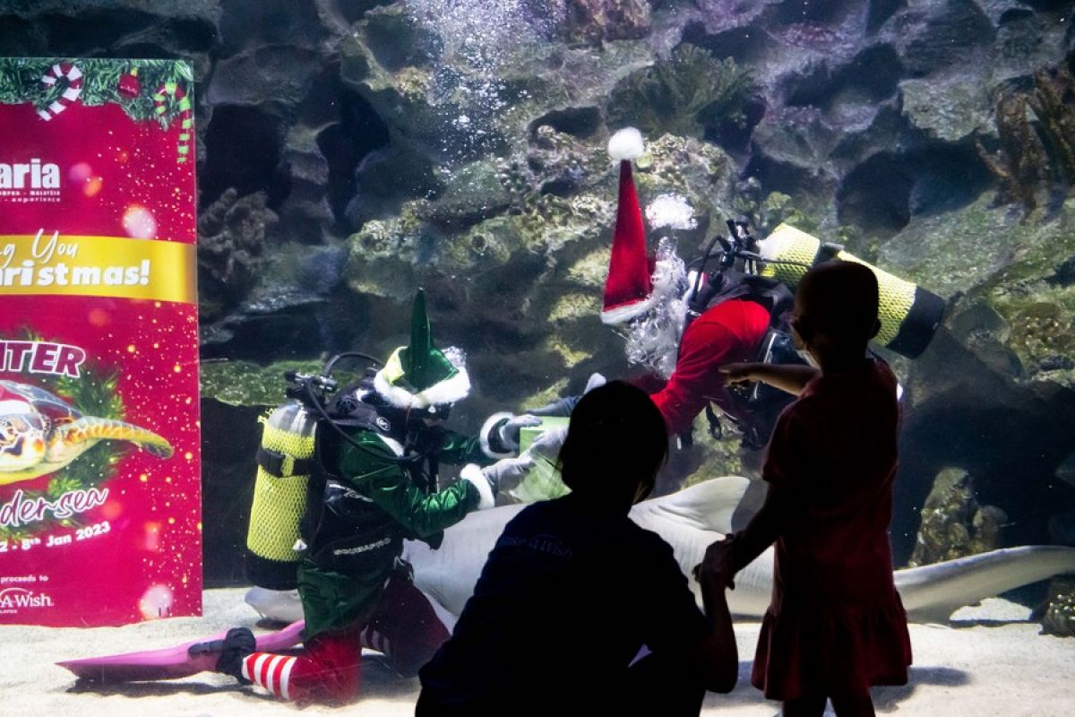 Oseanarium di Malaysia hadirkan pertunjukan bertema musim dingin