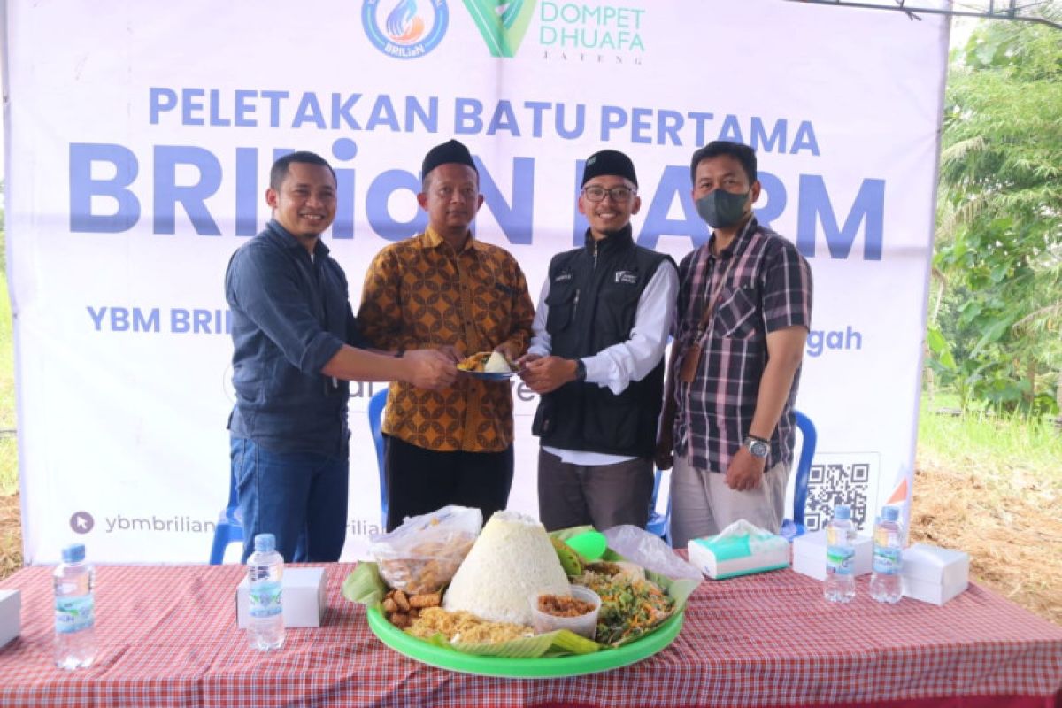 YBM BRILian gandeng Dompet Dhuafa Jawa Tengah bangun sentra ternak domba