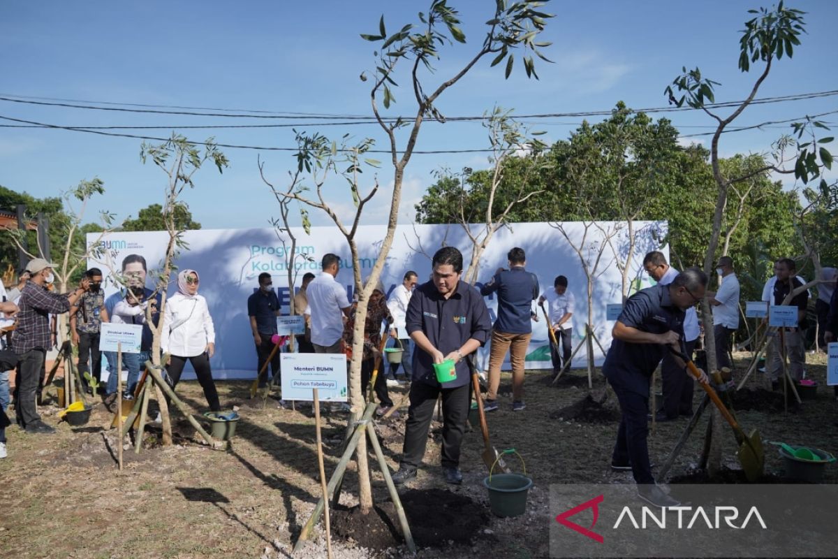 Lampaui Target, Erick Thohir: BUMN Tanam 4,6 Juta Pohon Sepanjang Tahun 2022