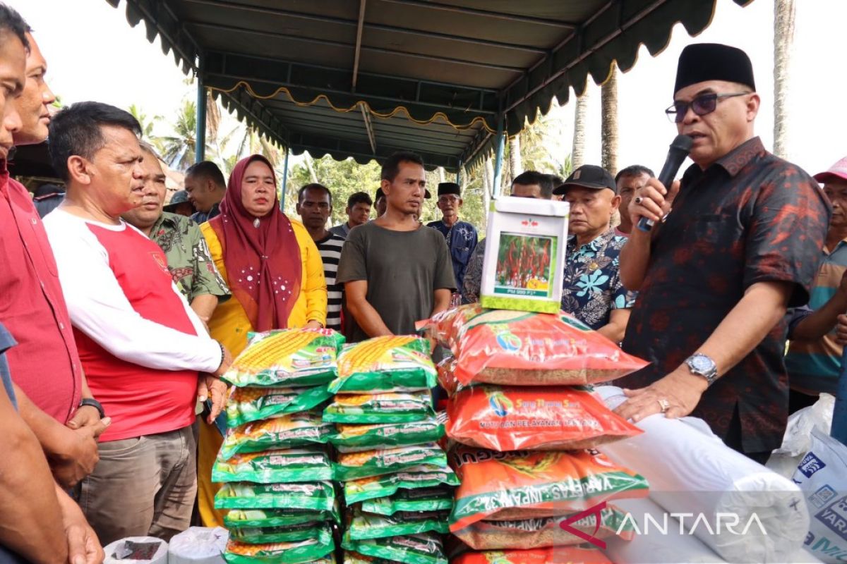 Peduli petani, ratusan koptan di Madina dapat bantuan bibit dan pupuk dari pemda