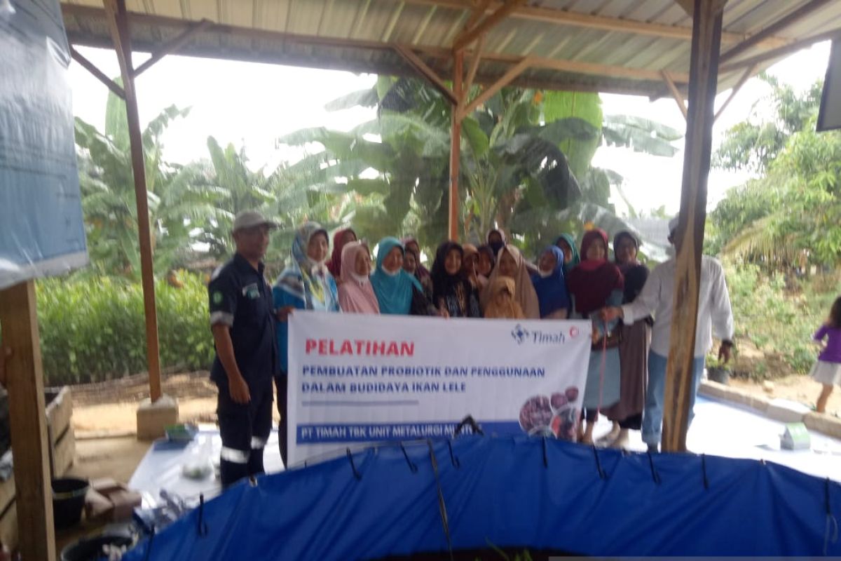 Sukses dilaksanakan di Kelurahan Tanjung, inovasi sosial program Kampung Amoi PT Timah direplikasikan di Desa Air Limau