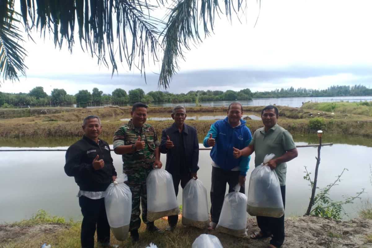 Petani tambak Lama Muda terima bantuan bibit ikan