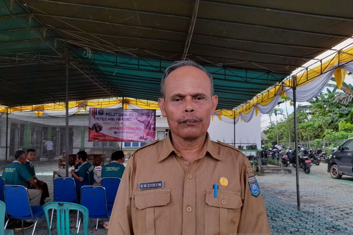 Bangka Tengah bangun UPH jagung pipil