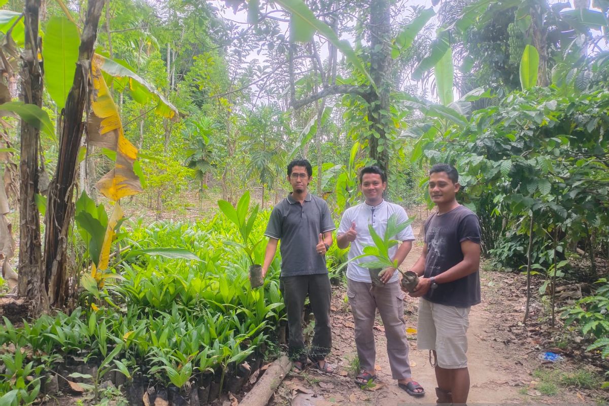 Jejak Bumi Indonesia Kabupaten OKU jalankan program konservasi genetik tanaman unggul