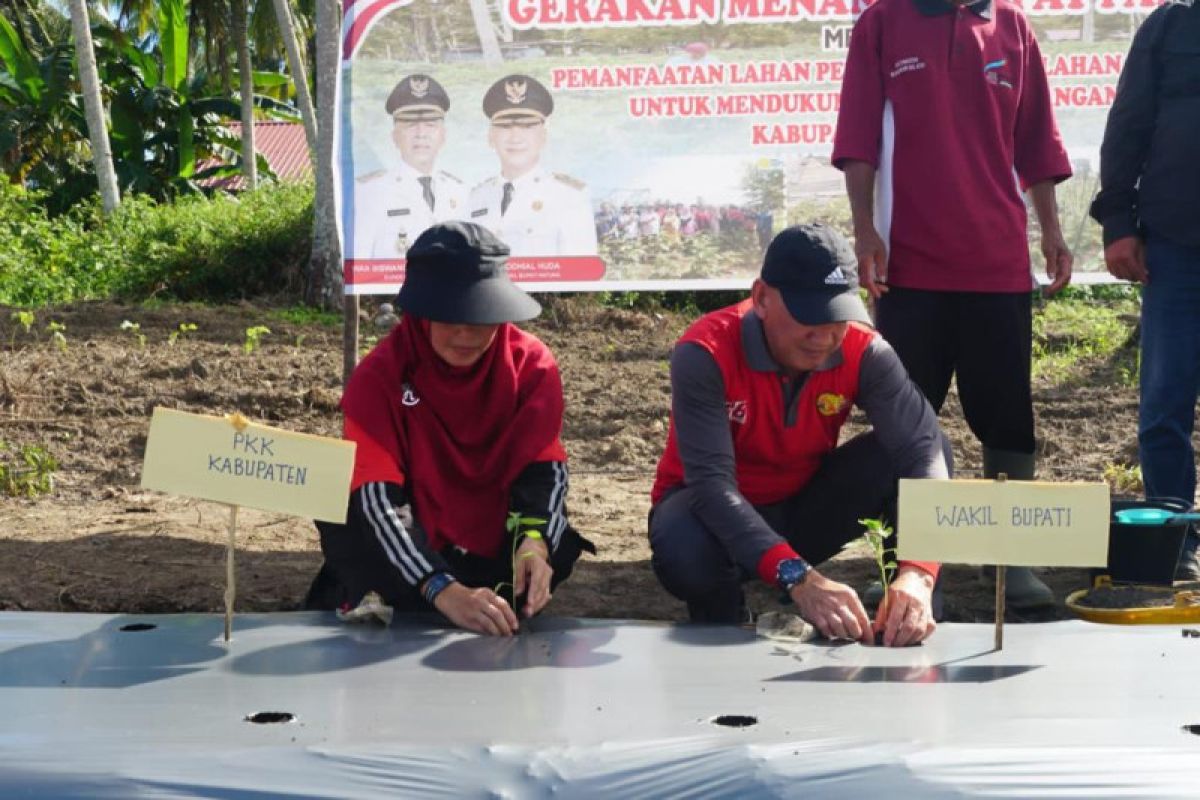 Pemkab Natuna laksanakan gerakan menanam untuk ketahanan pangan