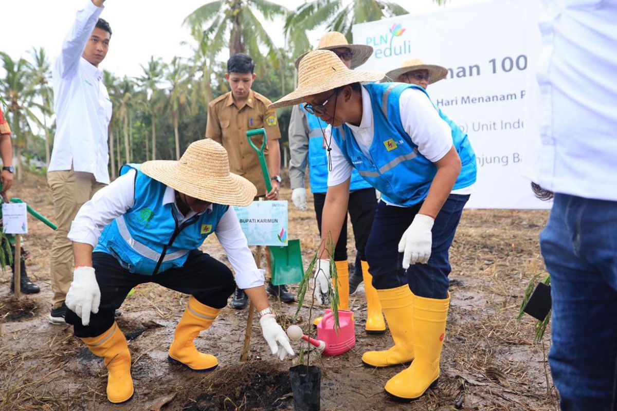 PLN tanam 100.000 bibit pohon kaliandra