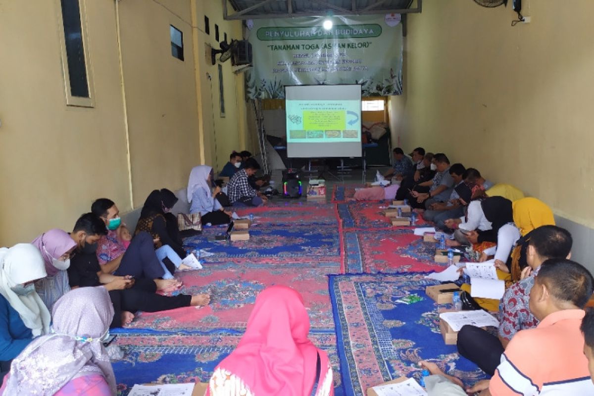 Ubaya beri penyuluhan budi daya tanaman toga warga Kampung Rimpang Sidoarjo