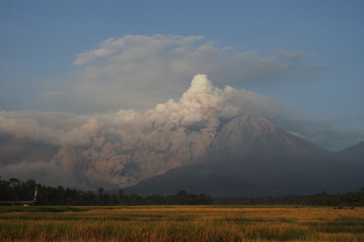 BNPB paparkan alasan erupsi Semeru tidak menimbulkan korban jiwa
