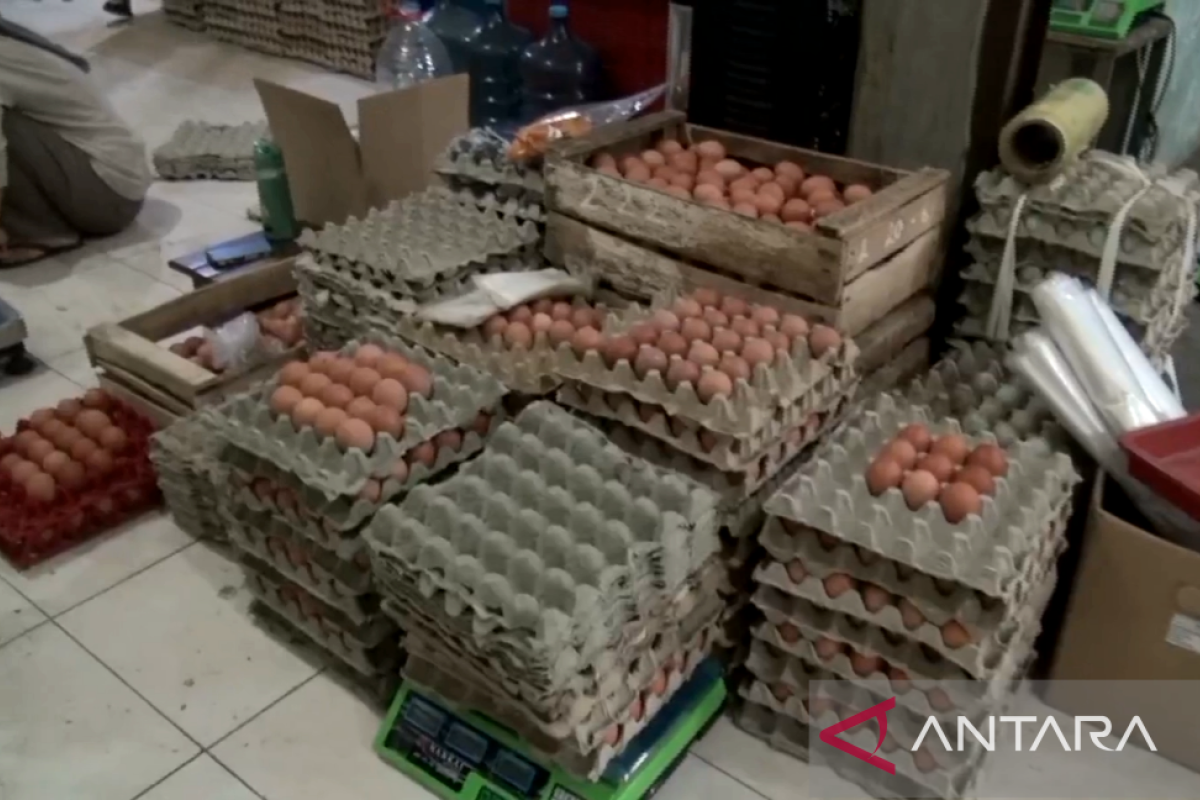 Harga telur ayam di Bekasi terus alami kenaikan jelang Natal-Tahun Baru