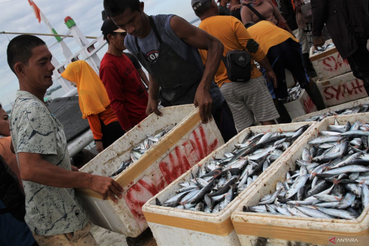 Harga ikan naik akibat cuaca buruk