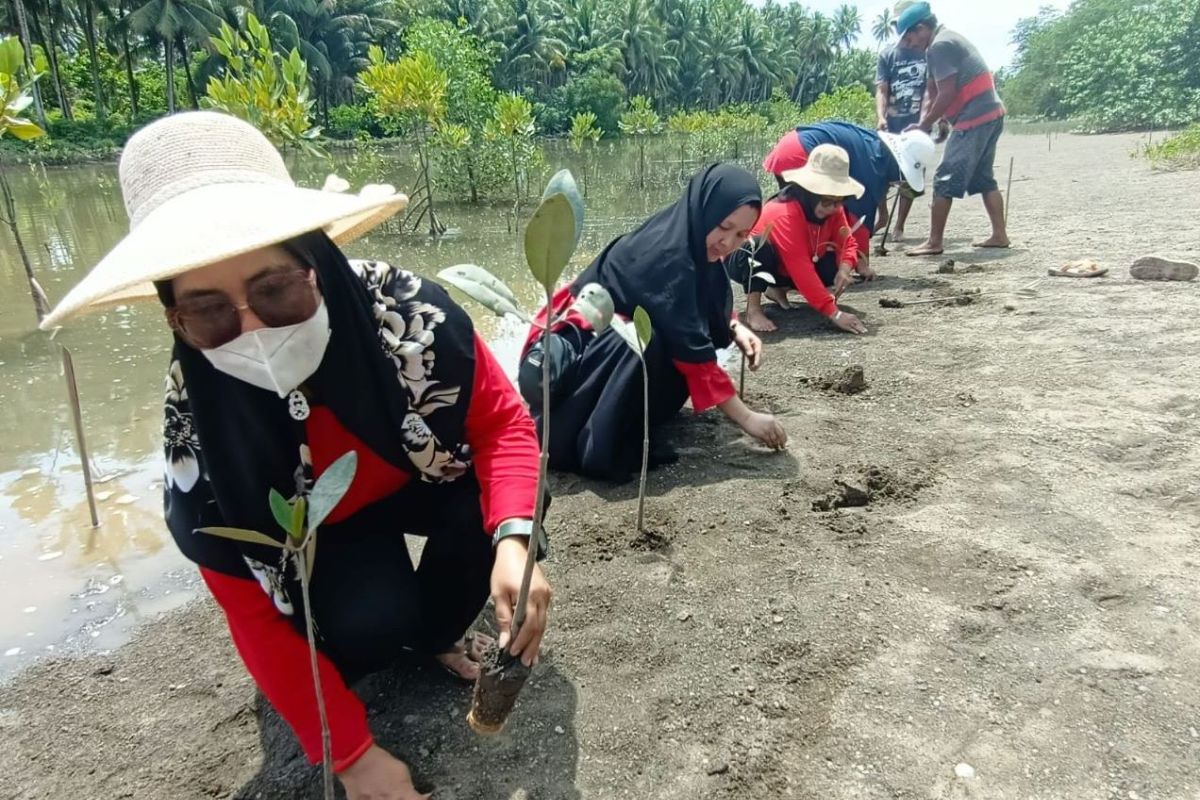 Majelis Taklim Jabal Nur  tanam mangrove di Donggala-Sulteng