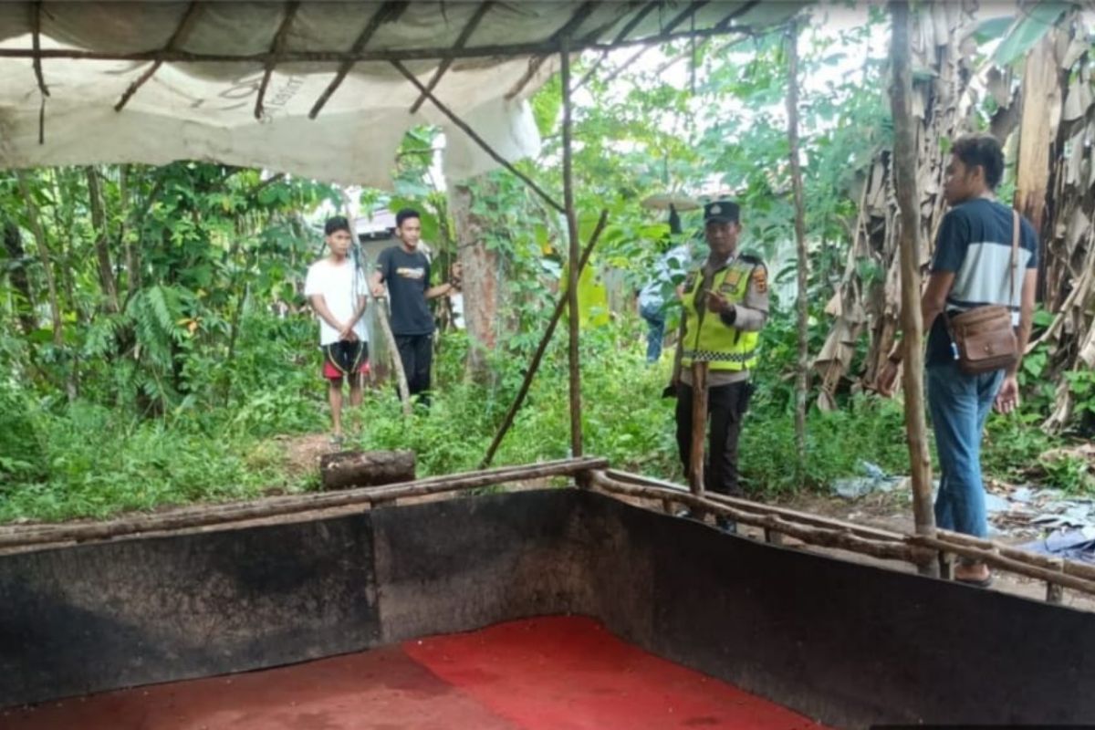 Polisi Jambi grebek judi sabung ayam berantas penyakit masyarakat