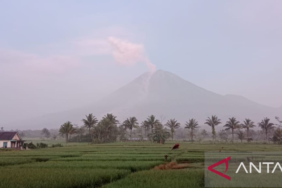 Gunung Semeru saat ini masih luncurkan awan panas guguran