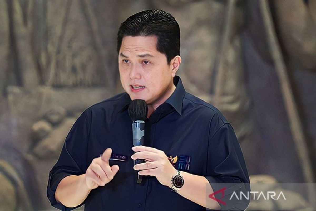 Erick Thohir: wacana publik sebagai calon ketua PSSI sah saja