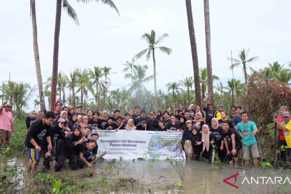 2000 bakau ditanam HIMEPA-Universitas Tanjungpura peringati Hari Menanam Pohon Nasional