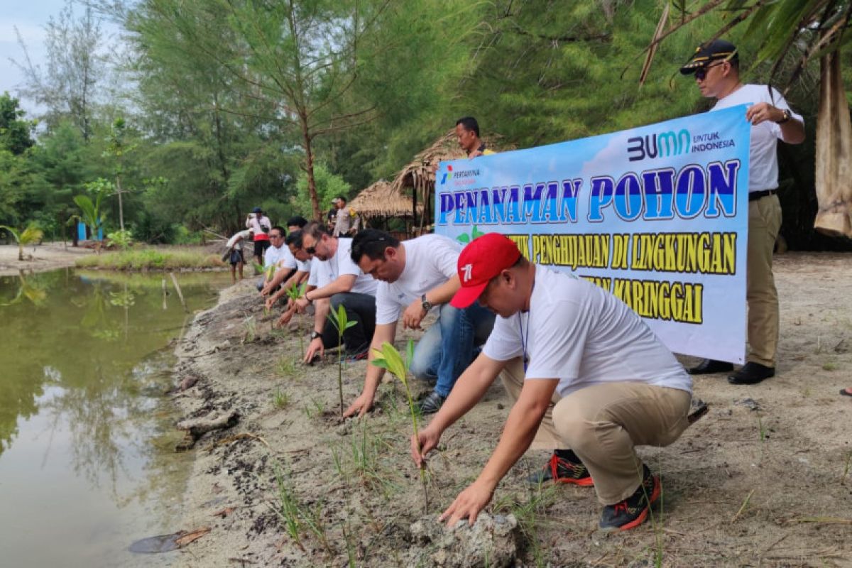 PGN tanam 1.000 mangrove di wisata Pandan Alas Lampung