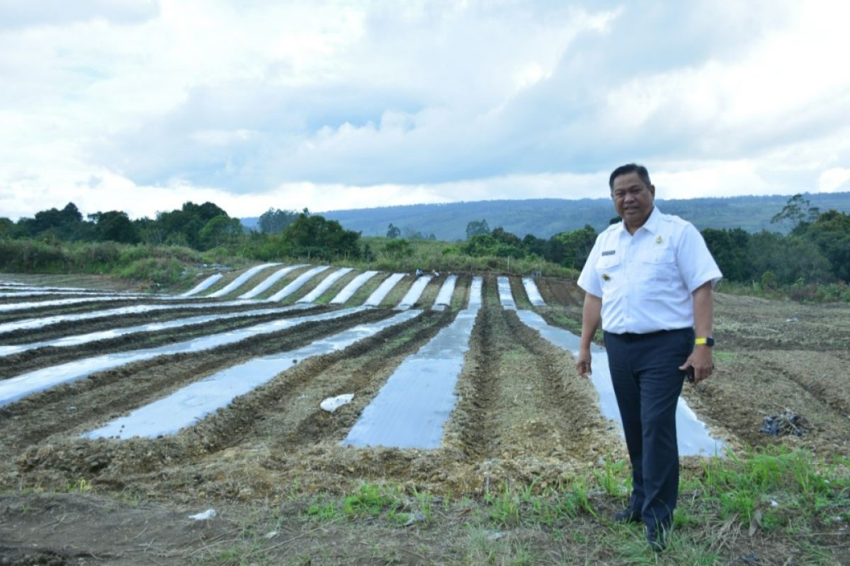 Pemkab Dairi komitmen bantu pusat dalam pengendalian inflasi