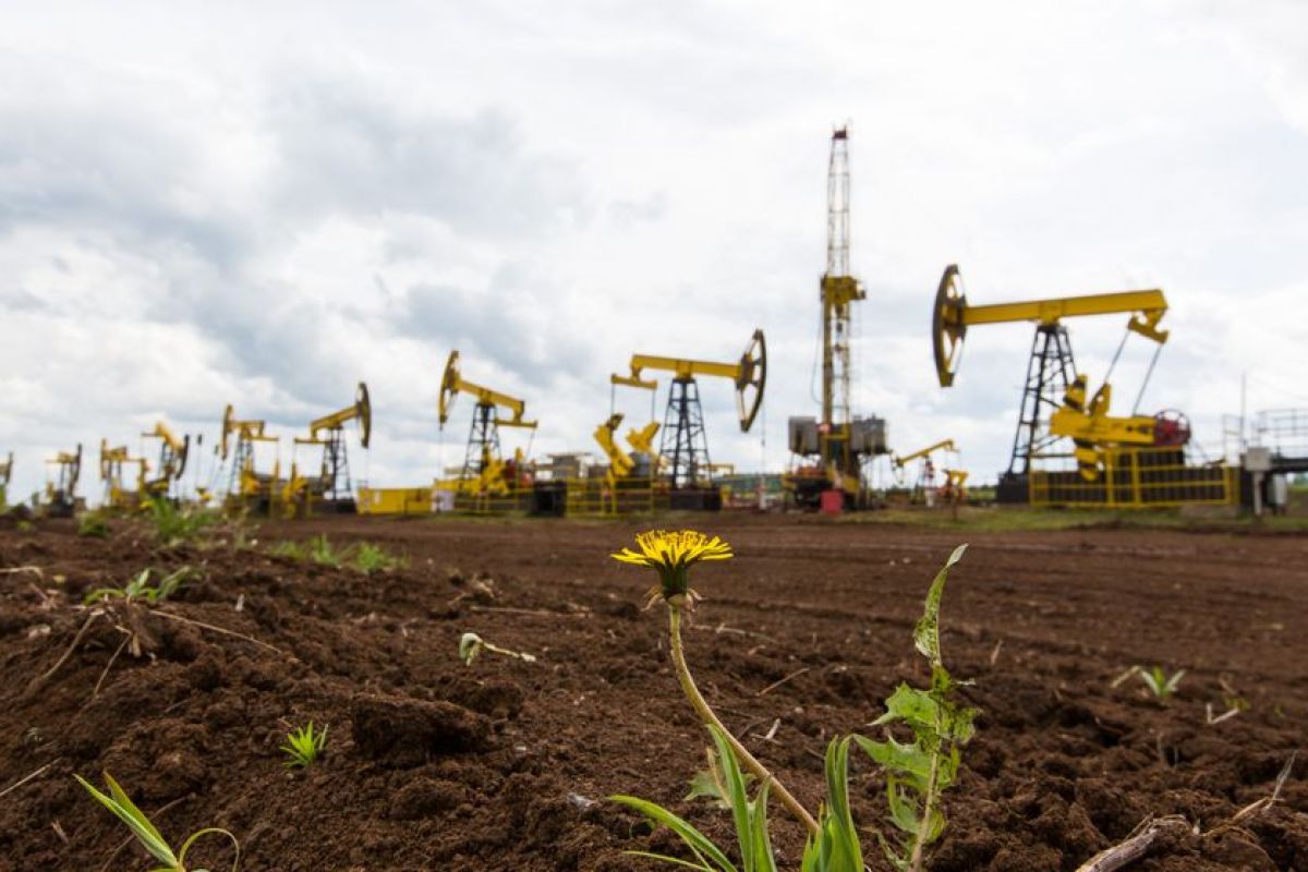 Rusia peringatkan akan pangkas produksi minyak menyusul batasan harga