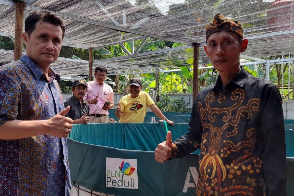 PLN UID Banten bantu perekonomian masyarakat melalui Program Aquaponik di lahan terbatas