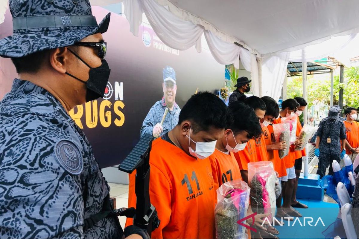 BNNP Bali sita 10 kg ganja dari jaringan mahasiswa